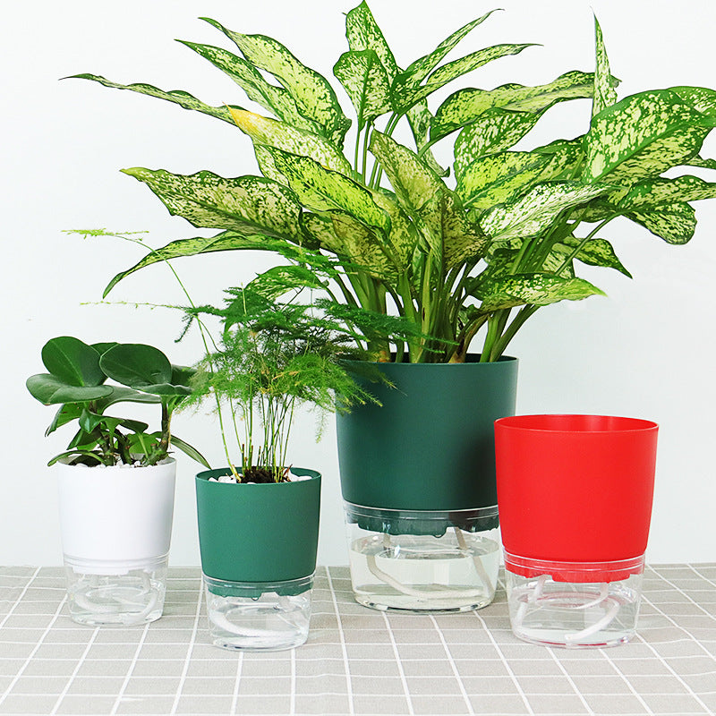Self Watering Pot Color Variations