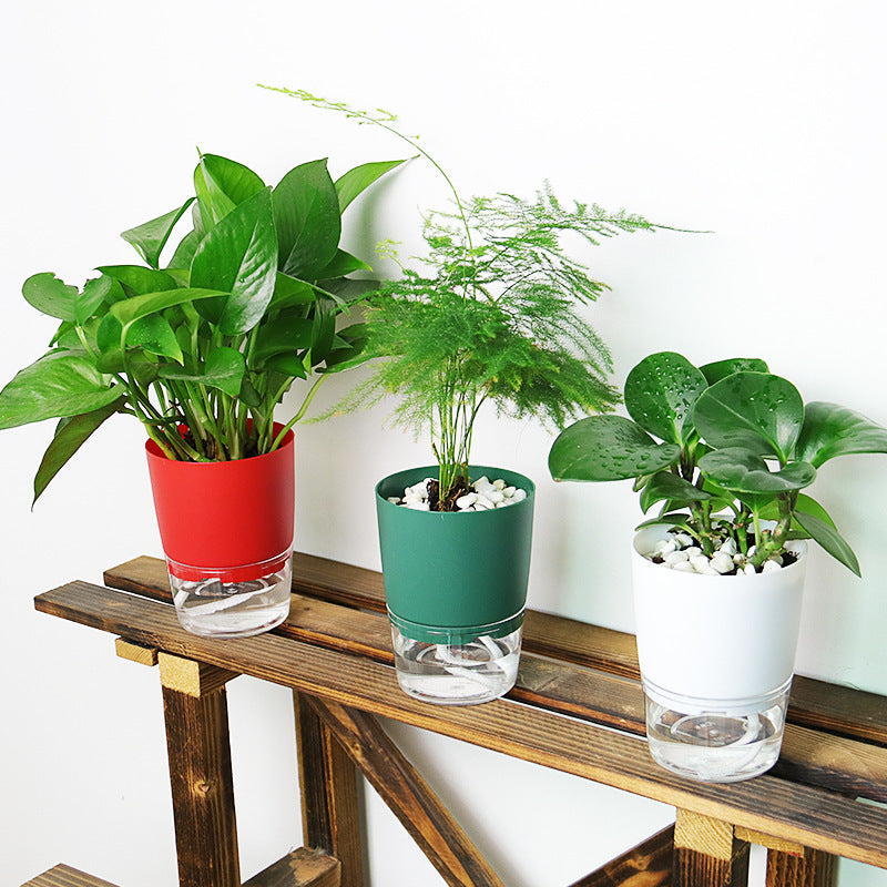 Self Watering Pot Color Variations