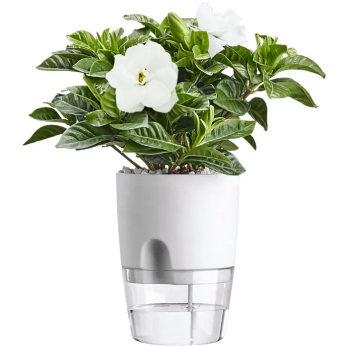 Self Watering Pot in use