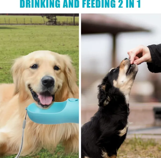 2-in-1 Pet Feeder Drinking and Feeding