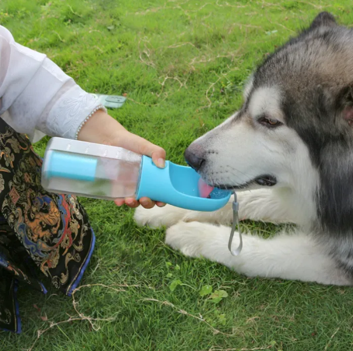 2-in-1 Pet Feeder in use