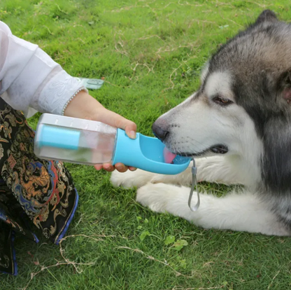 2-in-1 Pet Feeder in use