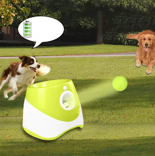 Automatic  Dog Ball Launcher in use